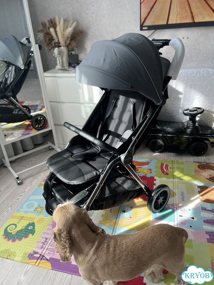 Прогулочная коляска carrello фото 1