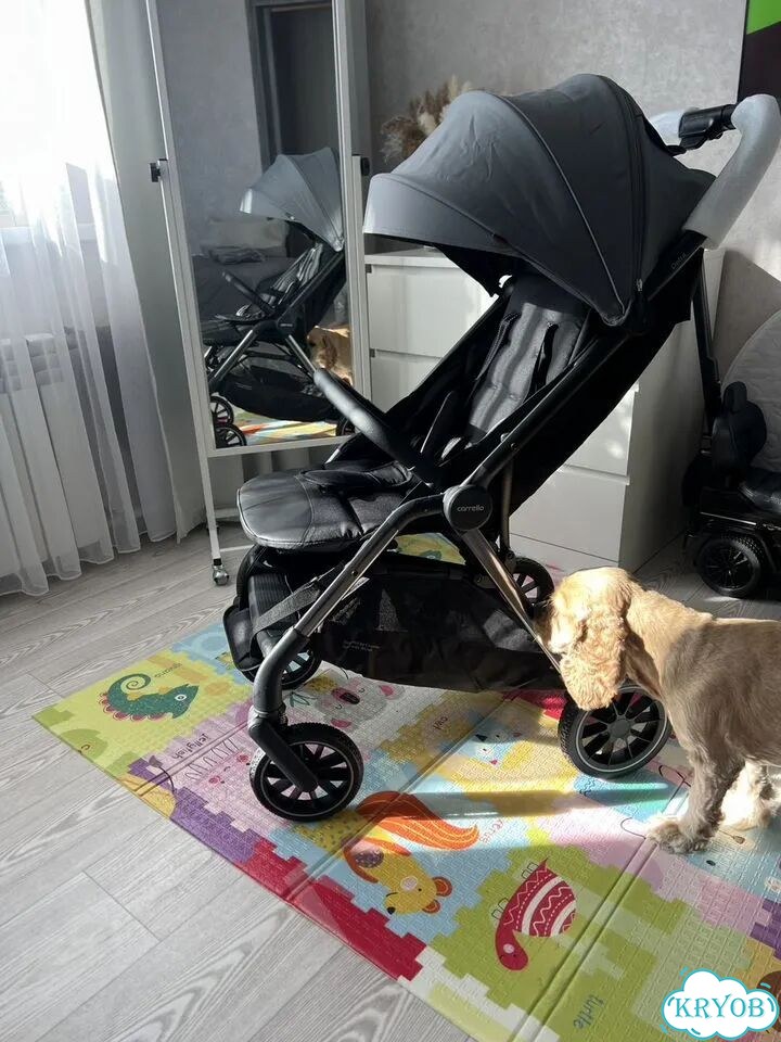 Прогулочная коляска carrello фото 2
