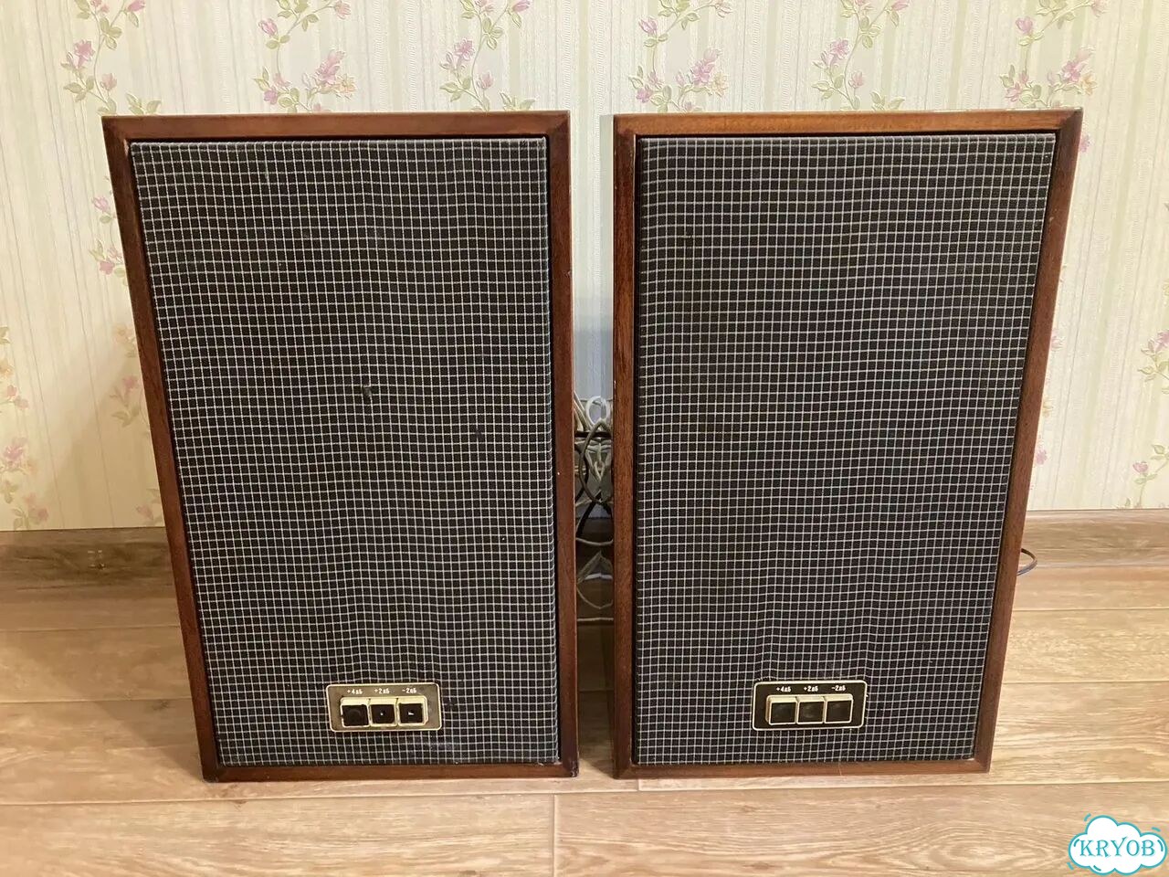 Акустика 25 ас- 302 фото 2