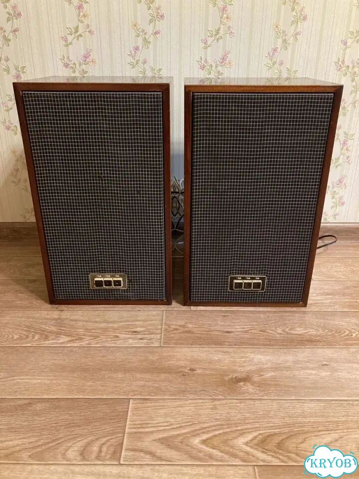 Акустика 25 ас- 302 фото 3