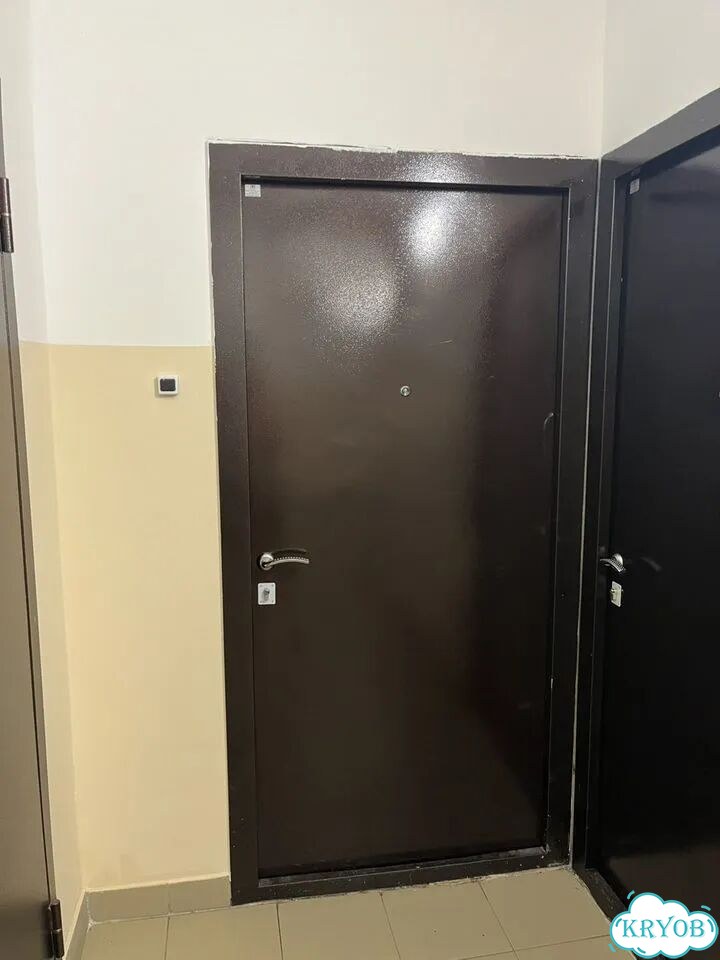 Дверь входная бу фото 1