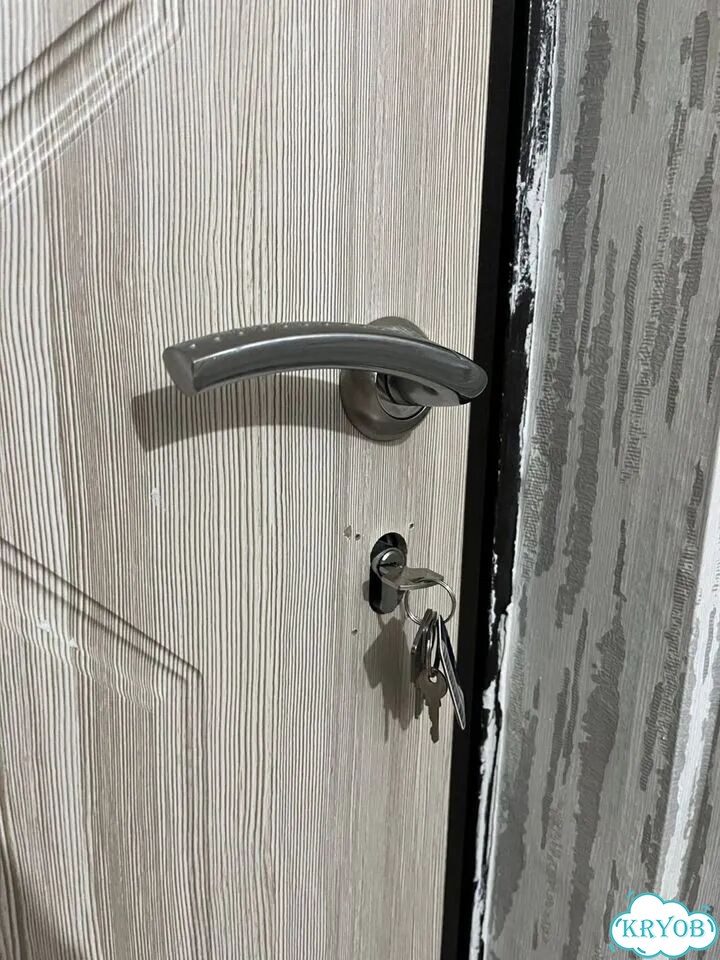 Дверь входная бу фото 4
