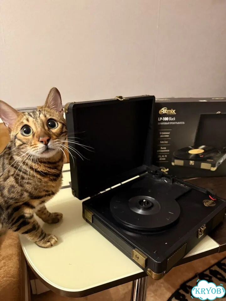 Проигрыватель винила ritmix lp-100 фото 1