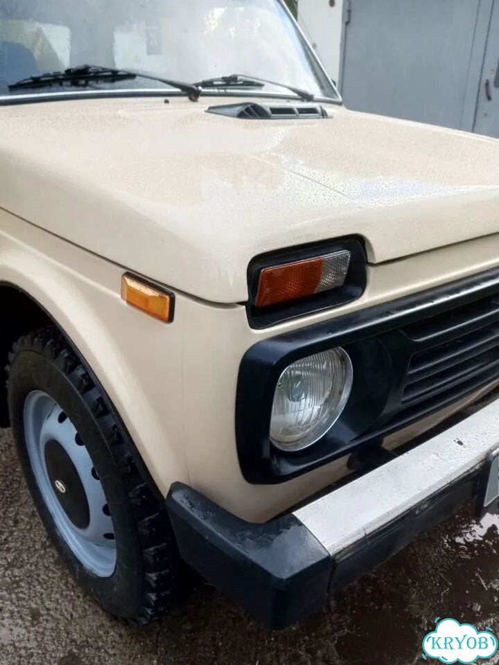ВАЗ (LADA) 4x4 (Нива) 1.6 MT, 1989, 12 600 км фото 10