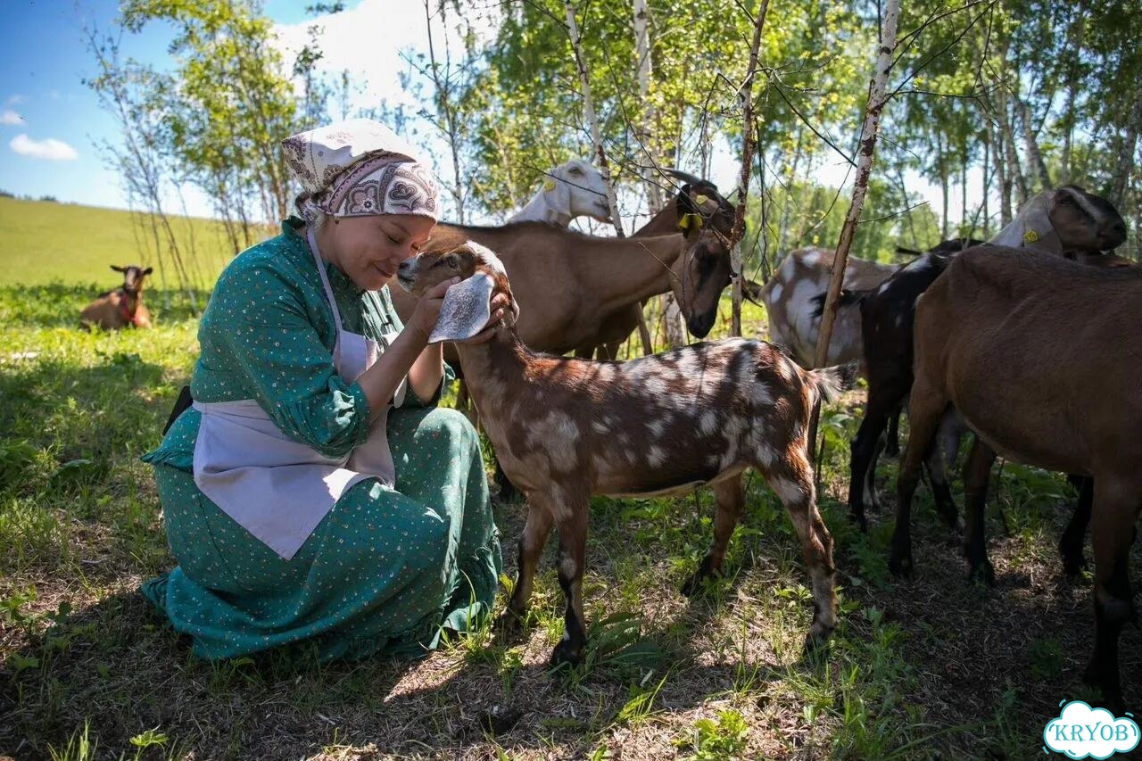 Молоко козье фото 1