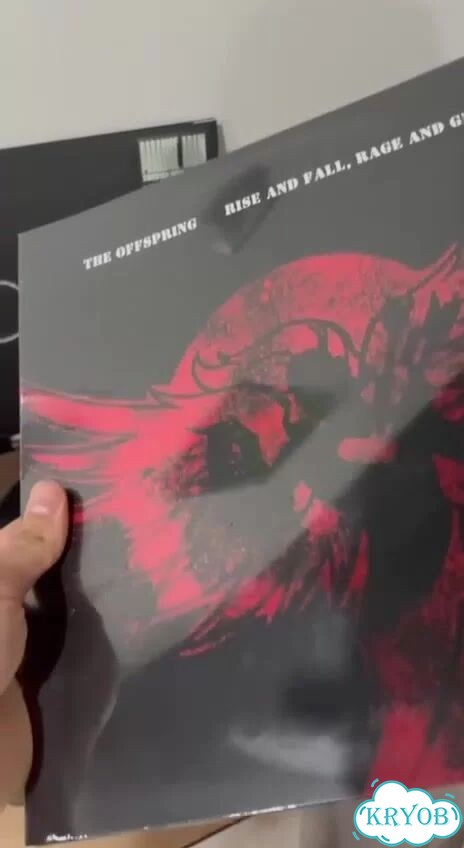 The Offspring – Rise And Fall, Rage And Grace (LP) фото 1