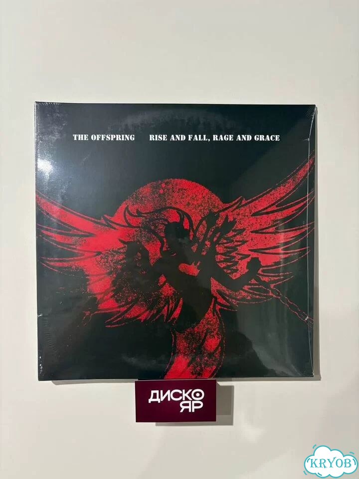 The Offspring – Rise And Fall, Rage And Grace (LP) фото 2