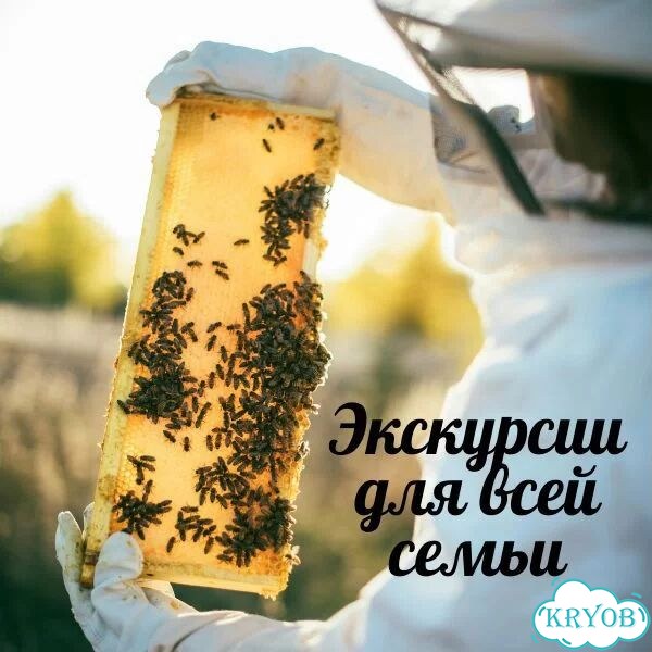 Необычные экскурсии в Красноярске фото 1