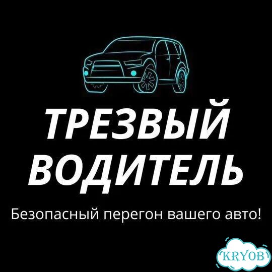 Трезвый водитель фото 1