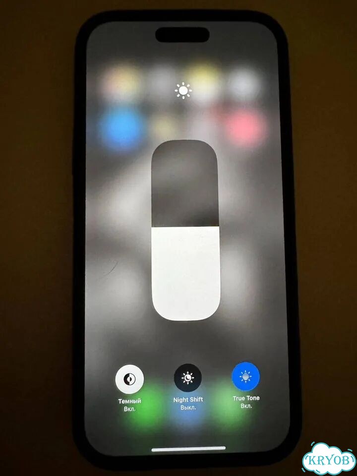 iPhone 16 Pro Max, 256 ГБ, 1 SIM фото 10