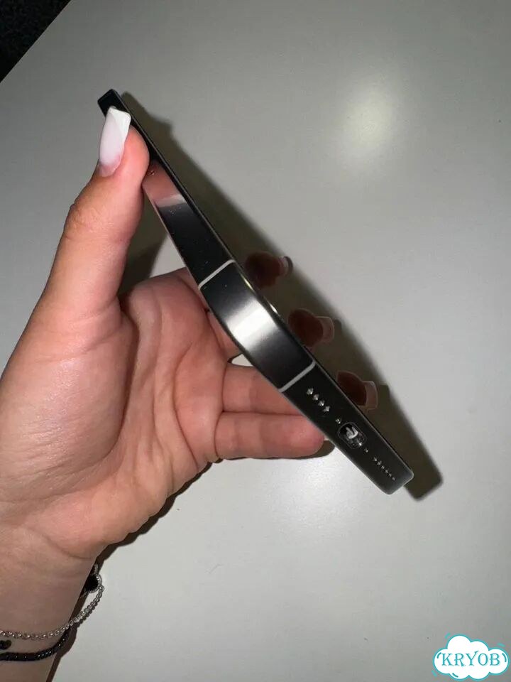 iPhone 16 Pro Max, 256 ГБ, 1 SIM фото 2