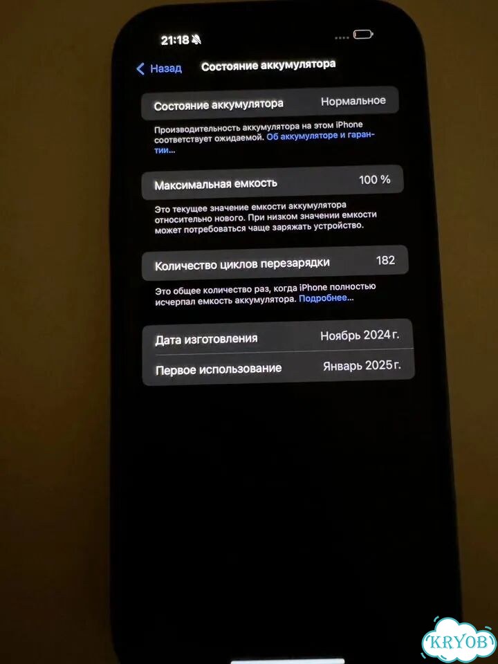iPhone 16 Pro Max, 256 ГБ, 1 SIM фото 9