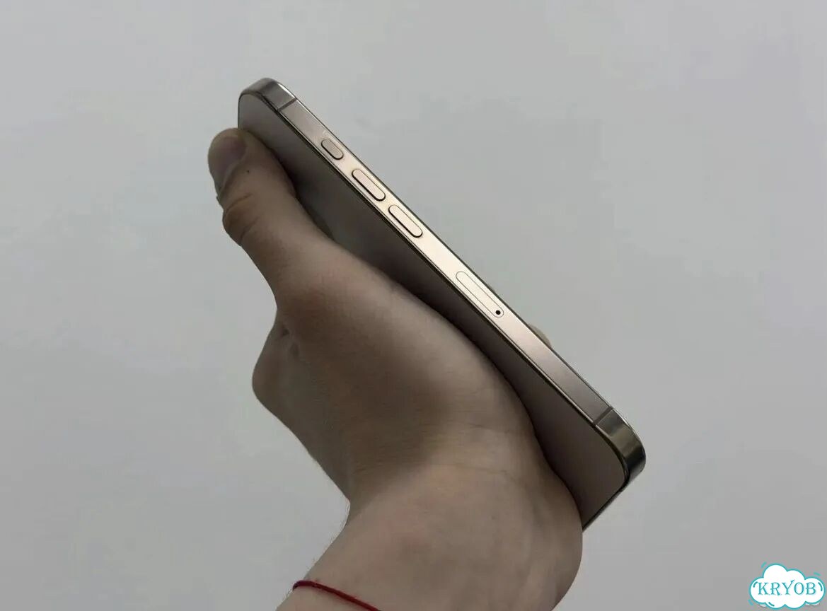 iPhone 16 Pro, 512 ГБ, 2 SIM фото 2