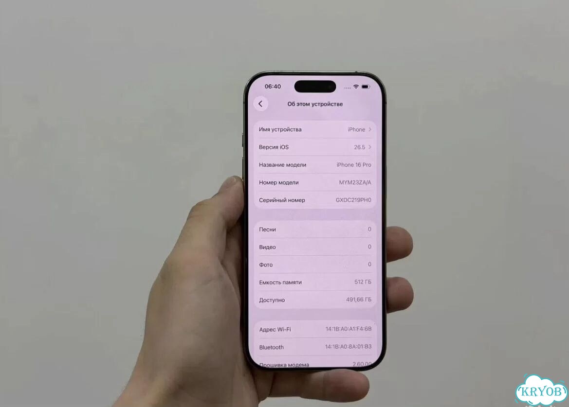 iPhone 16 Pro, 512 ГБ, 2 SIM фото 6