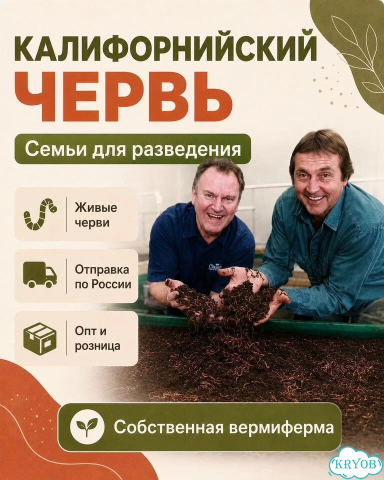 Черви разведение (ккч, калифорнийский)опт/розница фото 1