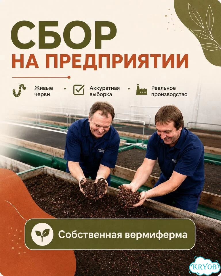 Черви разведение (ккч, калифорнийский)опт/розница фото 10