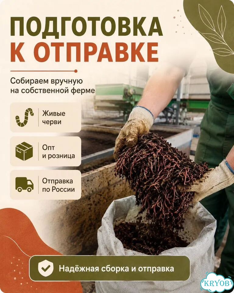 Черви разведение (ккч, калифорнийский)опт/розница фото 4