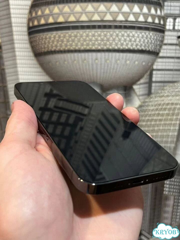 iPhone 13 Pro, 256 ГБ, SIM + eSIM фото 8