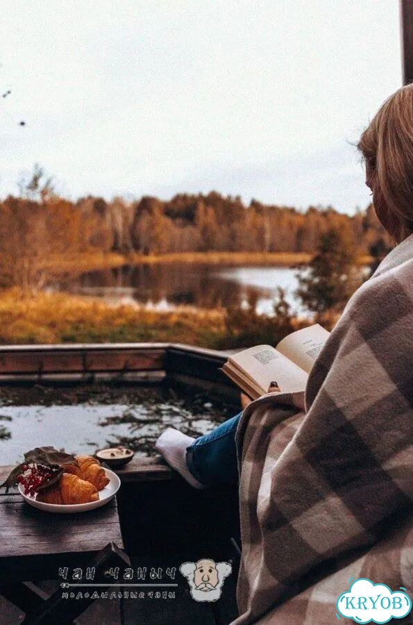 Банный чан под ключ. Рассрочка, доставка по РФ фото 10