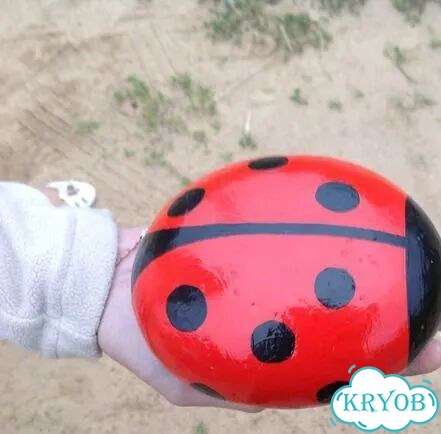 Божья коровка фото 3