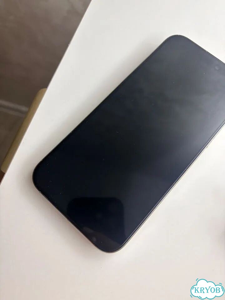 iPhone 16 Pro Max, 256 ГБ, SIM + eSIM фото 2