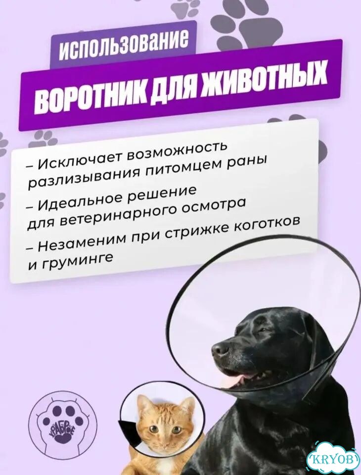 Защитный воротник для животных фото 3
