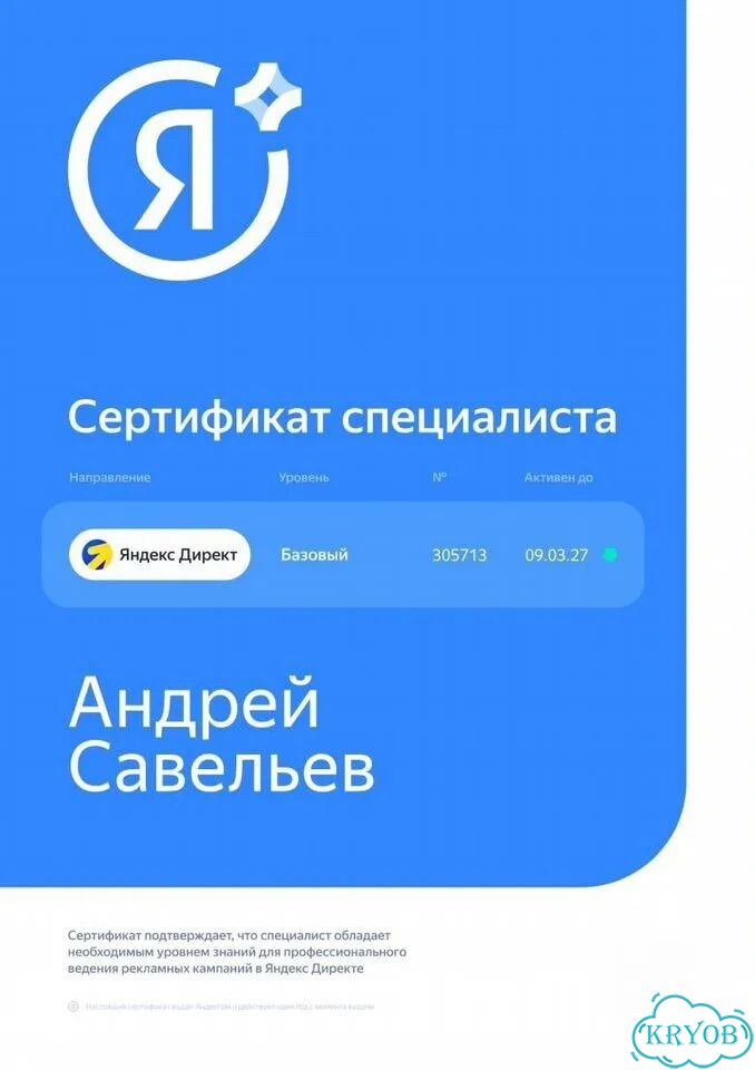 Яндекс.Директ под продажи, а не под клики фото 2