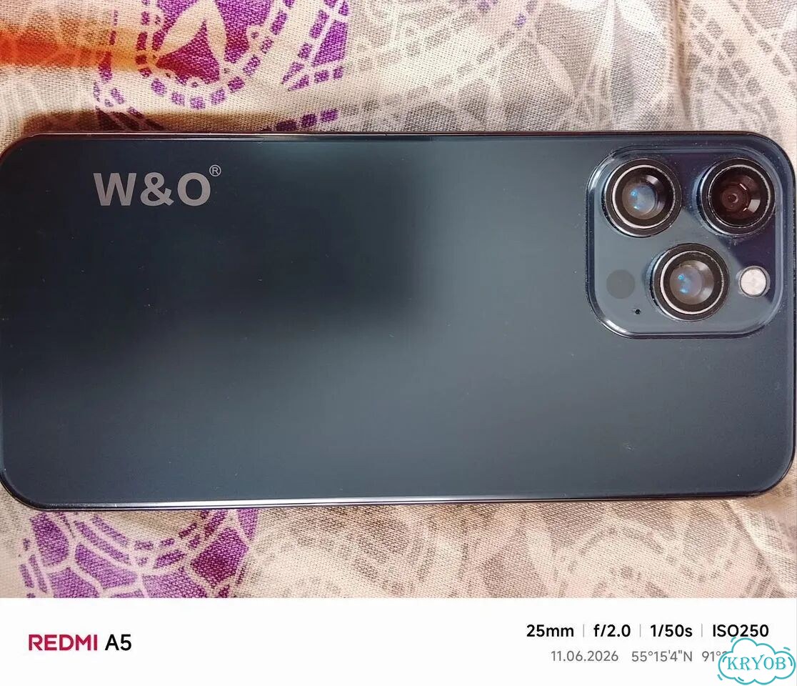 W&O W01, 12/512 ГБ, 2 SIM фото 1