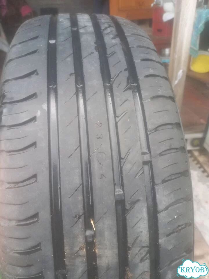 Nokian Tyres Nordman SX2 175/65 R14 фото 2
