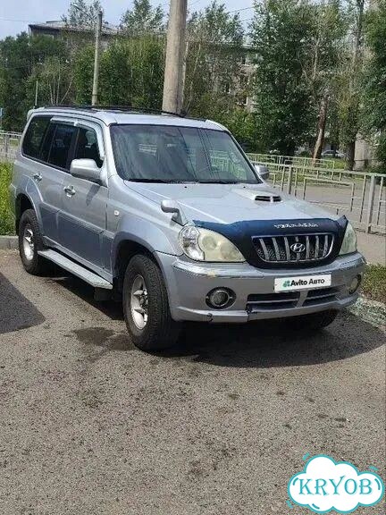 Hyundai Terracan 2.5 AT, 2001, 365 000 км фото 1