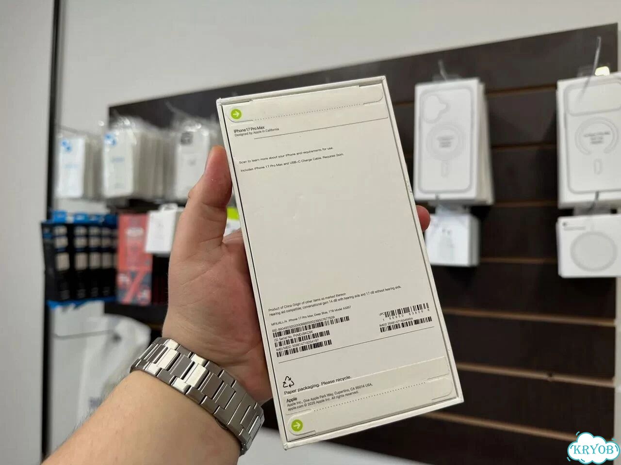 iPhone 17 Pro Max, 1 ТБ, 1 SIM фото 3