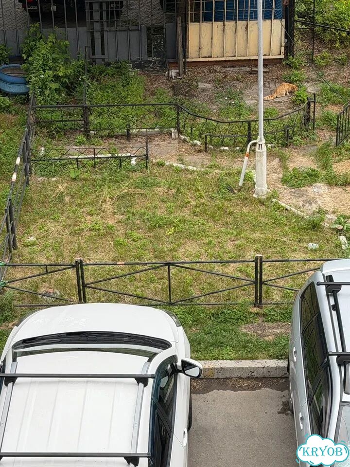 Забор металлический фото 1