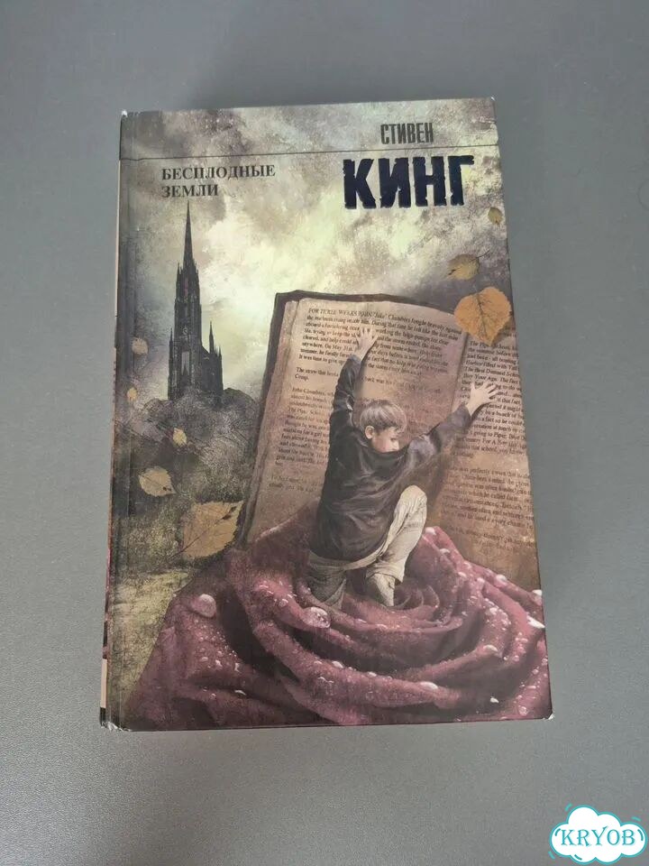 Стивен кинг бесплодные земли фото 1