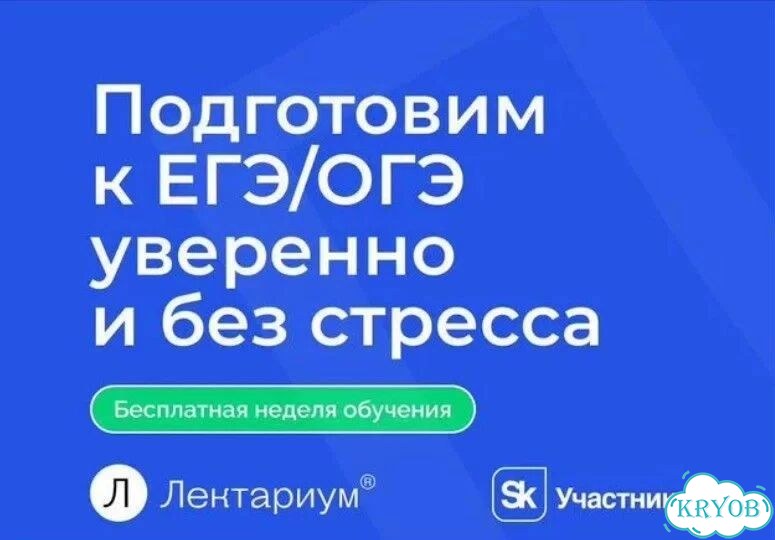 Репетитор по русскому языку и литературе фото 4