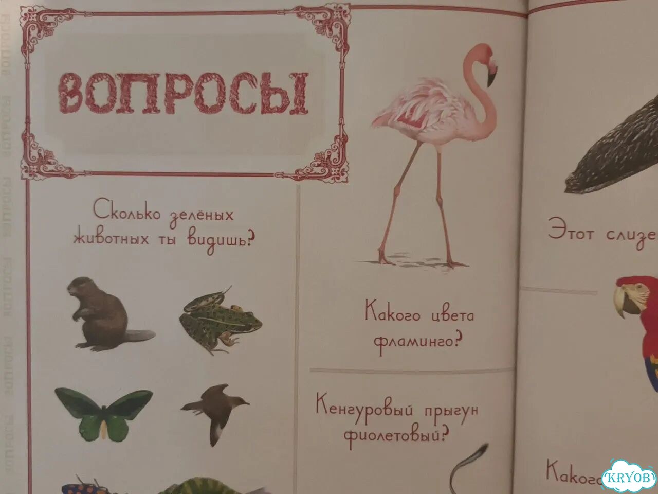 Книги детские развивающие фото 6