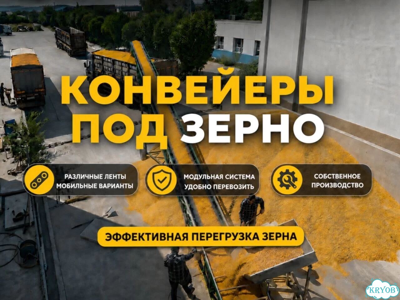 Транспортер стационарный. Кукуруза фото 1