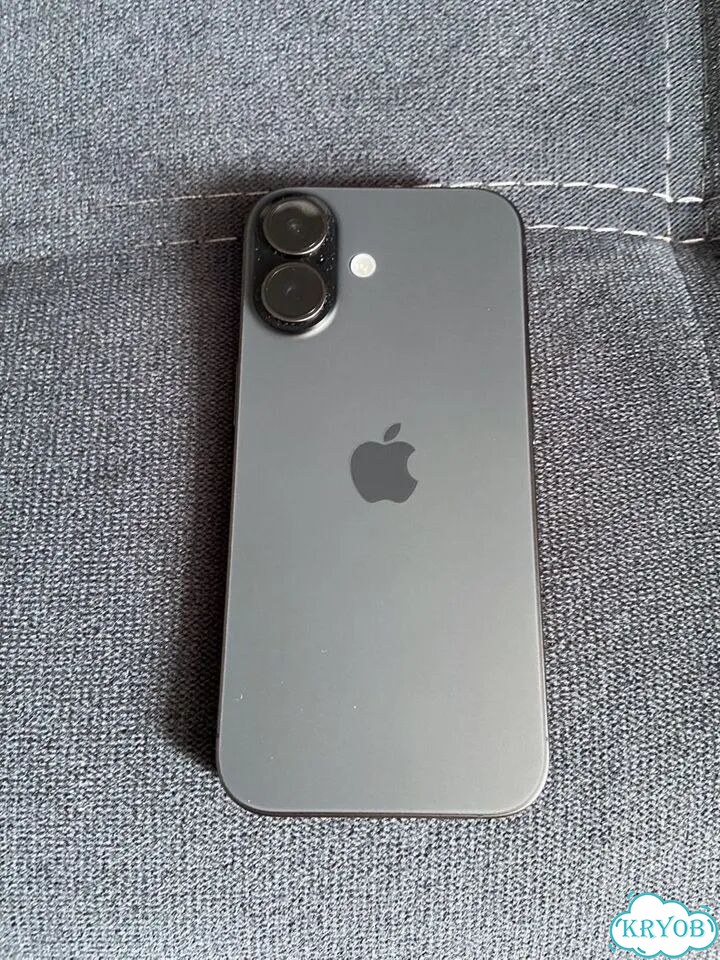 iPhone 17, 256 ГБ, SIM + eSIM фото 4