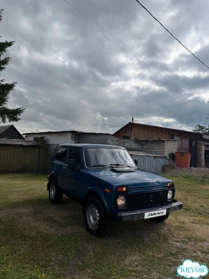ВАЗ (LADA) 4x4 (Нива) 1.7 MT, 2001, 150 000 км фото 1