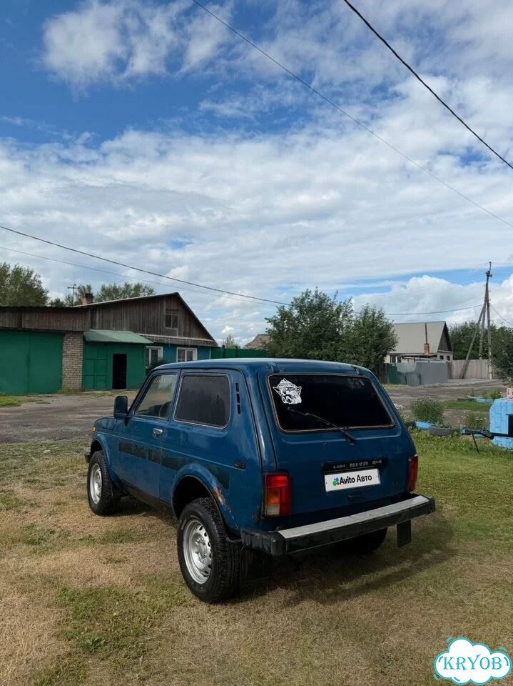 ВАЗ (LADA) 4x4 (Нива) 1.7 MT, 2001, 150 000 км фото 2