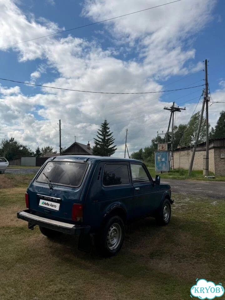 ВАЗ (LADA) 4x4 (Нива) 1.7 MT, 2001, 150 000 км фото 3