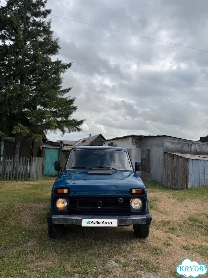 ВАЗ (LADA) 4x4 (Нива) 1.7 MT, 2001, 150 000 км фото 5