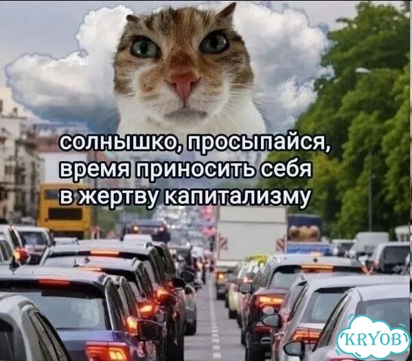 Стихи на заказ фото 1