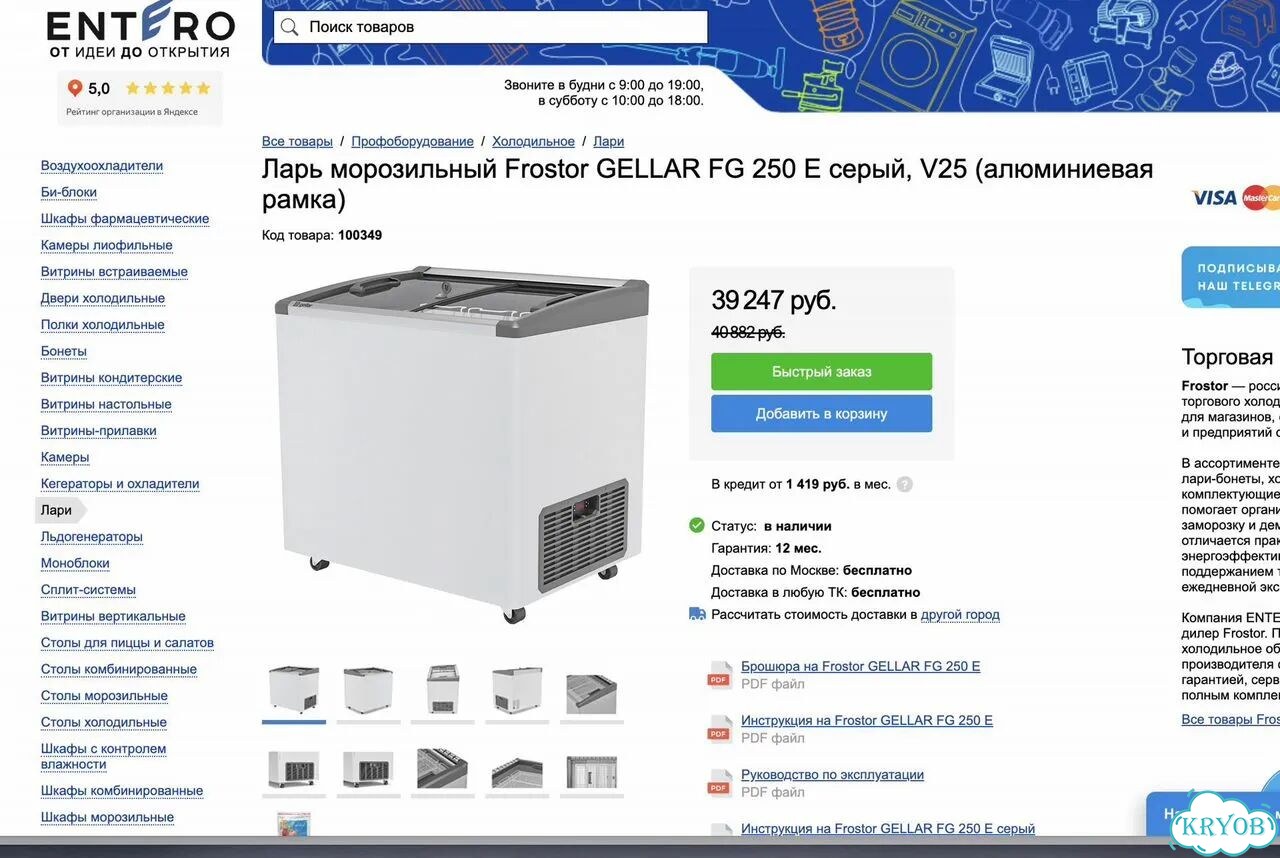 Ларь морозильный Frostor FG 250 E (новый, 240л) фото 2