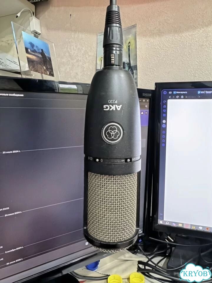 Akg p220 фото 1