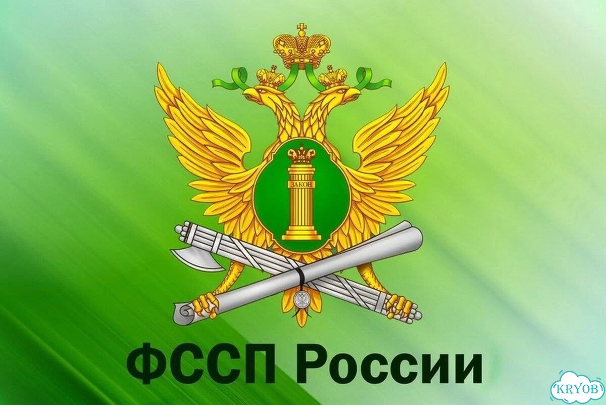 Отмена судебного приказа, Снятие ограничений, Иск фото 1